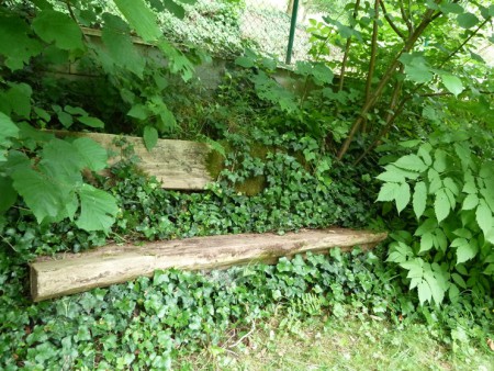 Přírodní lavička v zahradě u vily Sněženka na Zbraslavi