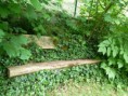 /album/fotogalerie/p1080546z-jpg/