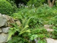 /album/fotogalerie/p1080552z-jpg/
