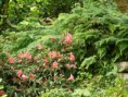/album/fotogalerie/p1080599z-jpg/